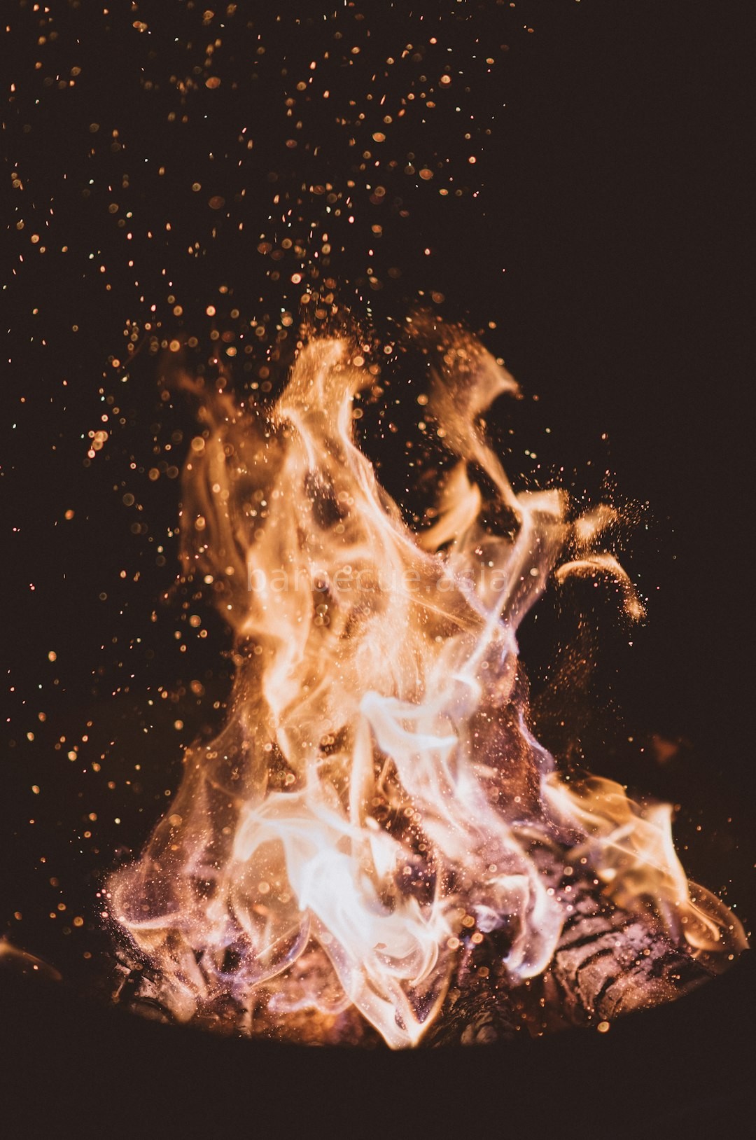 Brisket
