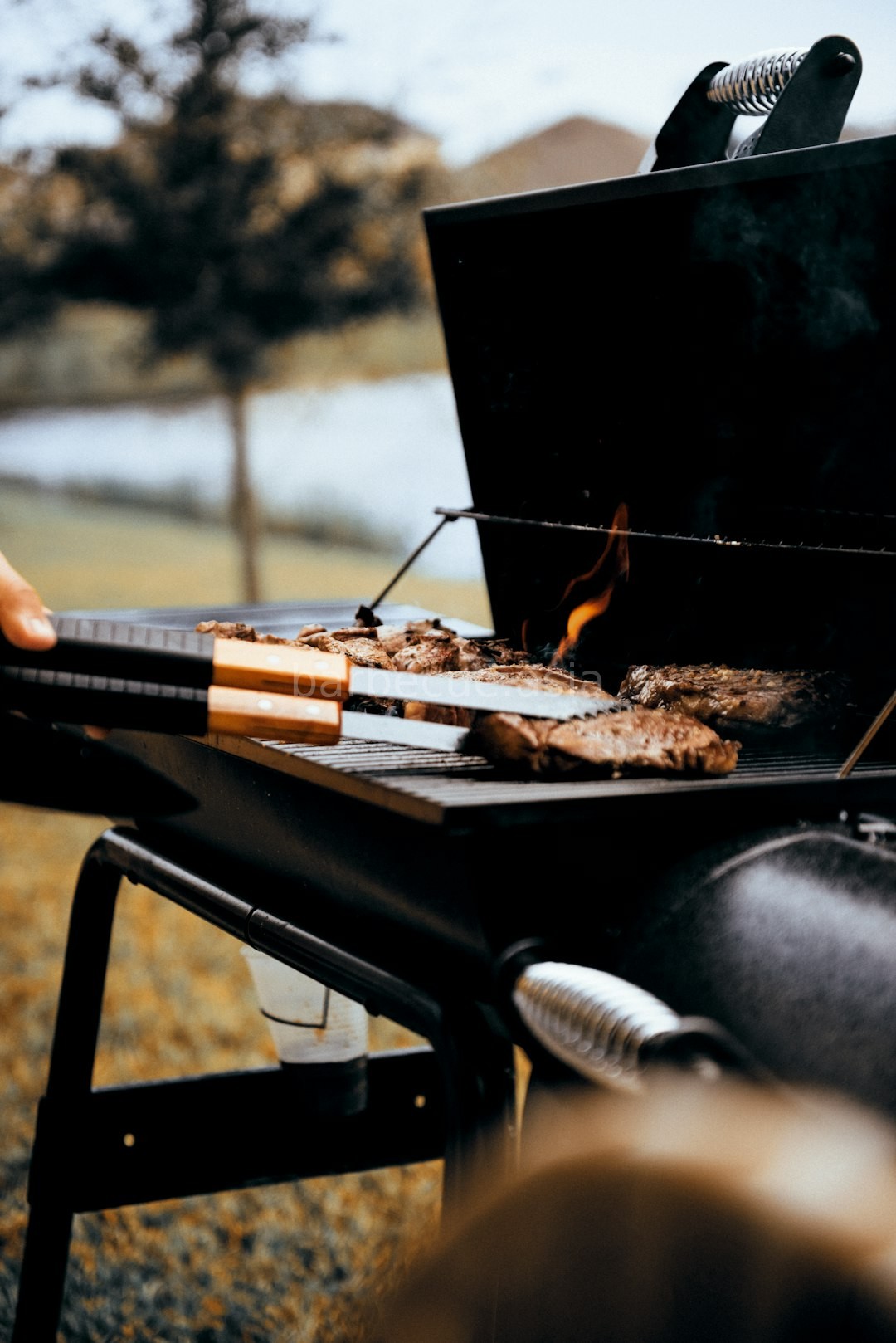 BBQ 2